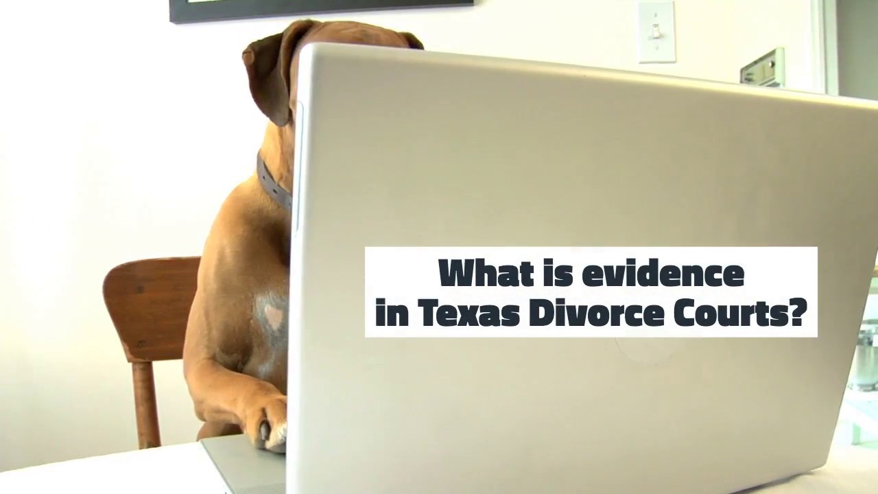 Disclosure: Divorce in Texas - All About Evidence