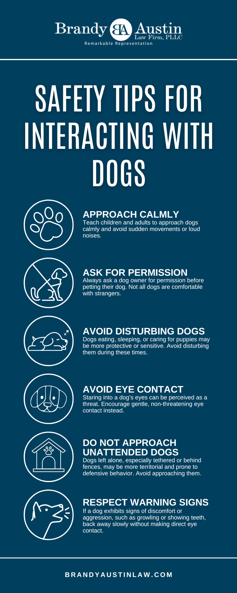 Safety Tips For Interacting With Dogs Infographic