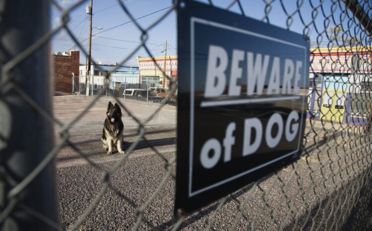  Dog Bite Lawsuits