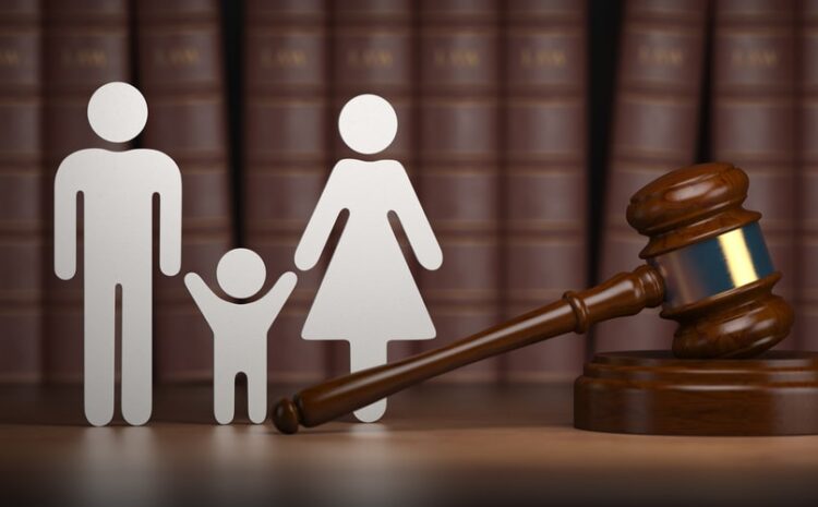  Types Of Child Custody