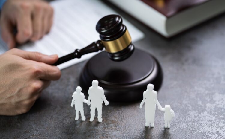  Understanding Family Law