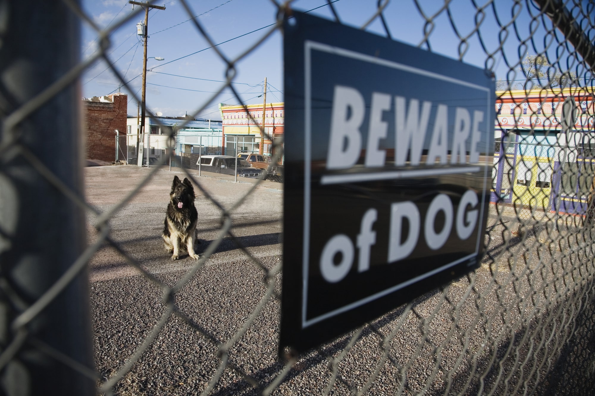 dog bite lawyer Grand Prairie, TX