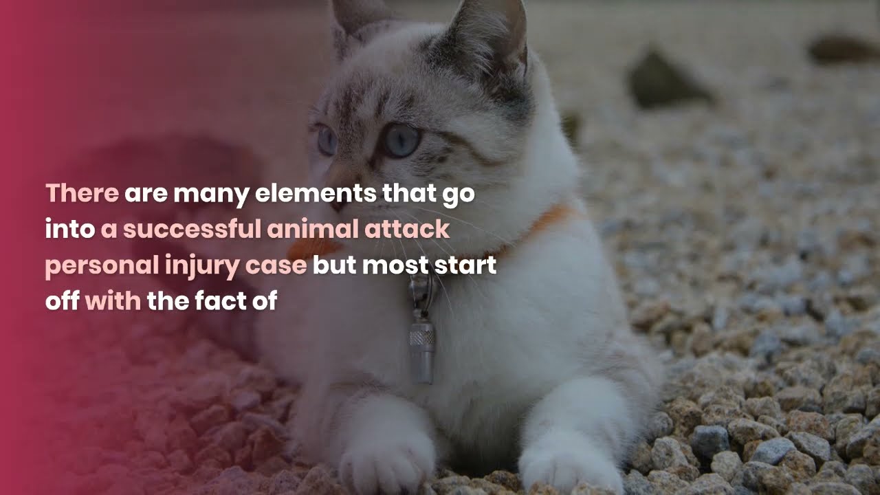 Can you recover from an animal attack